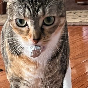 Meet your Posher, Madelyn